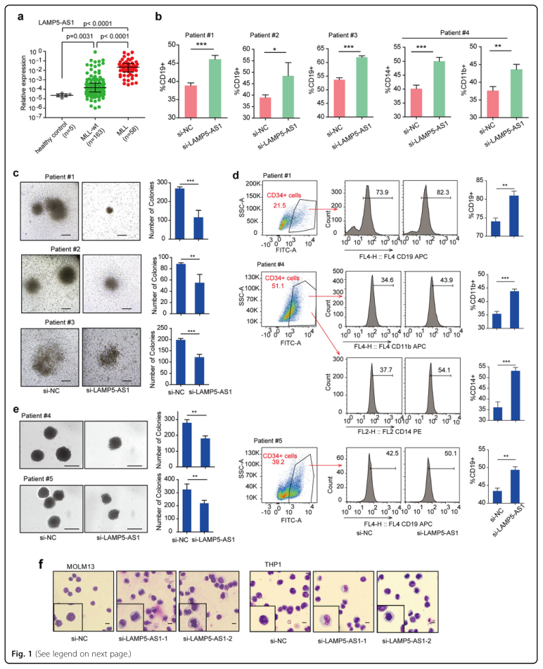 RNA pull down MS結(jié)合蛋白鑒定-客戶文獻(xiàn)-輝駿生物.png