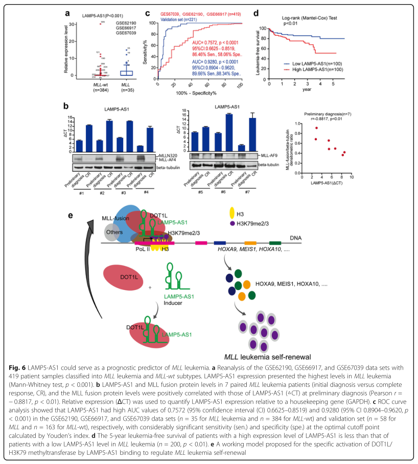 RNA pull down MS結(jié)合蛋白鑒定-客戶文獻(xiàn)-輝駿生物.png
