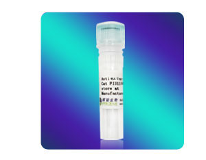 [FI01106] Anti-HA小鼠單克隆抗體