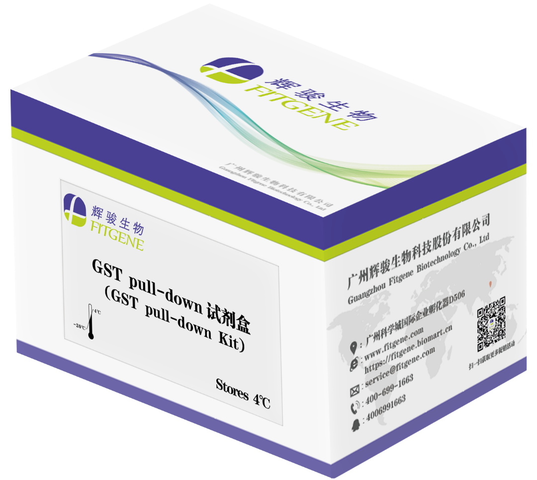 gst pulldown試劑盒-操作簡便-周期短-輝駿生物.png