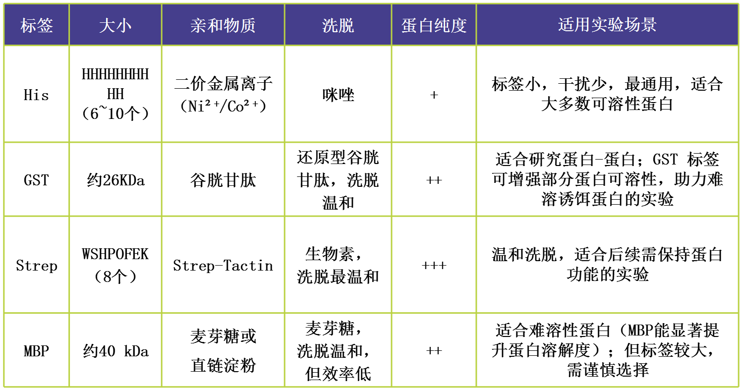 輝駿生物4種親和標簽對比，分別為：His、GST、Strep、MBP，專業(yè)提供各類型標簽蛋白試劑盒.png