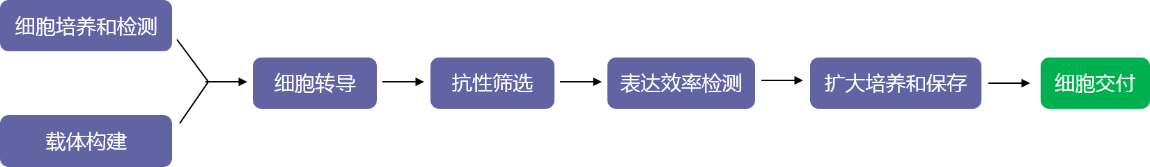 基因表達穩(wěn)轉(zhuǎn)株構(gòu)建（轉(zhuǎn)座子系統(tǒng)）實驗流程-輝駿生物.png